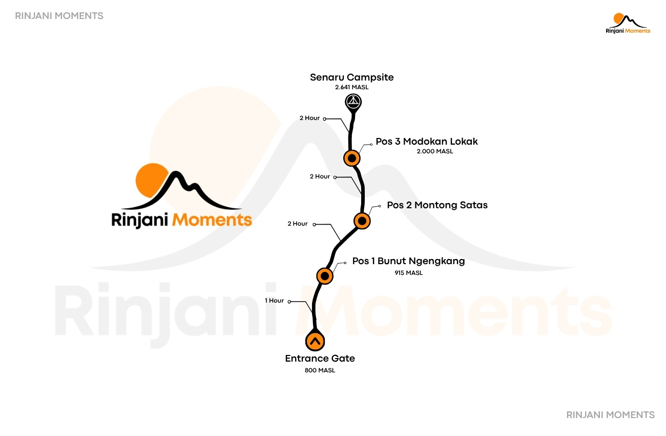 Rinjani trekking crater rim 2 days